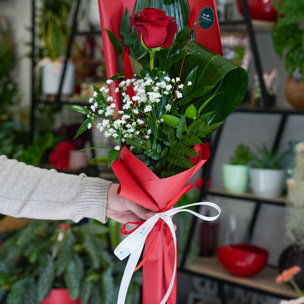 Rose Rosse Confezionate – scegli da 1 a 12 Rose | Consegna a Torino