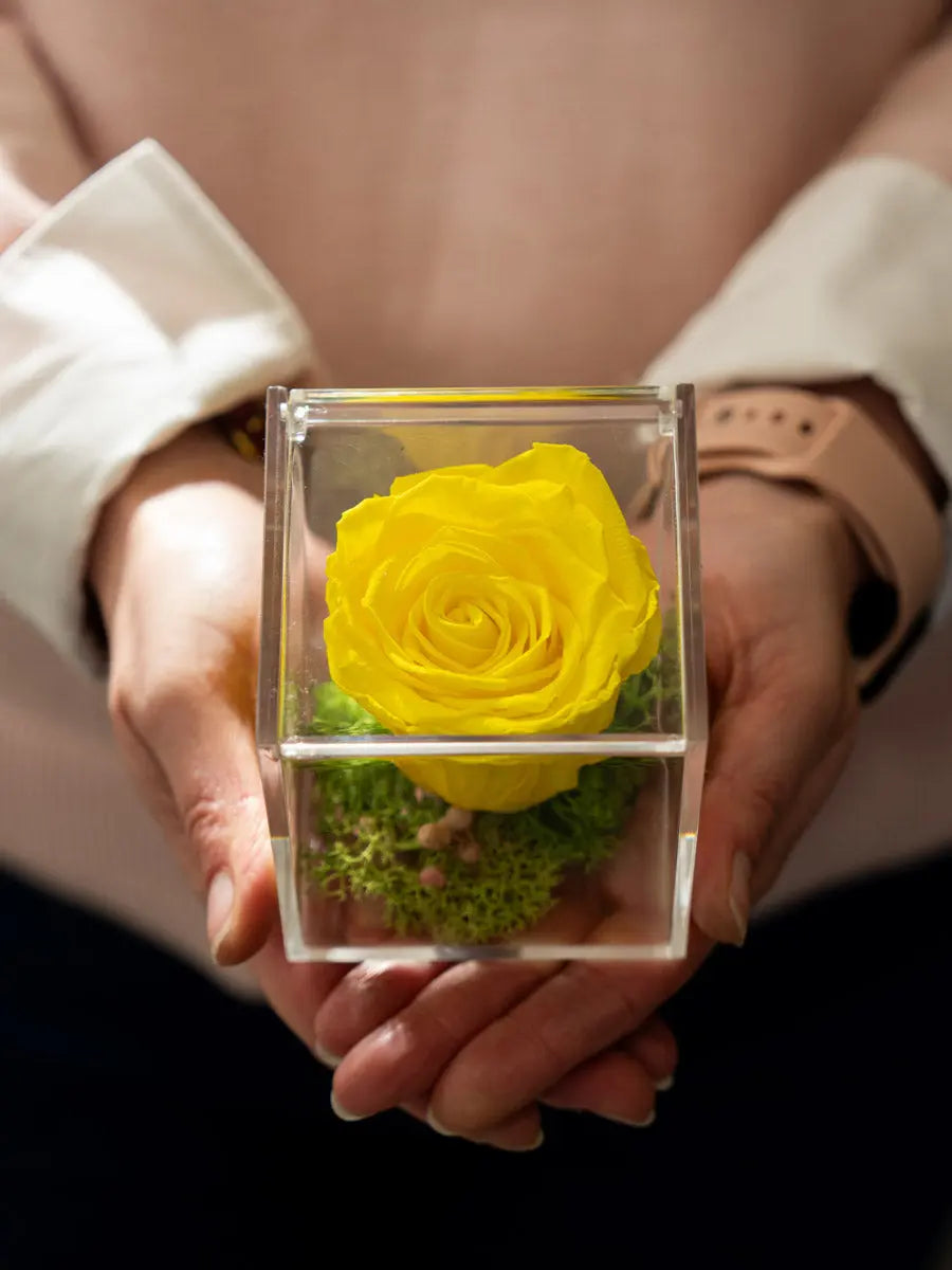 Rosa Stabilizzata Gialla in Scrigno | Idea Regalo Emozioni