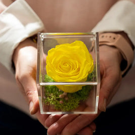 Rosa Stabilizzata Gialla in Scrigno | Idea Regalo Emozioni