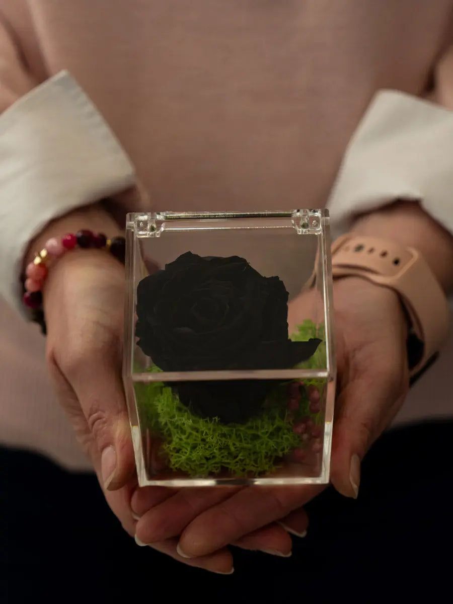 Rosa Stabilizzata Nera in Scrigno Emozioni