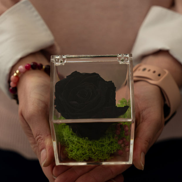 Rosa Stabilizzata Nera in Scrigno