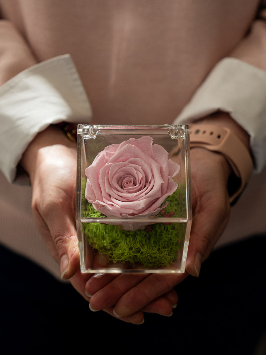 Rosa Stabilizzata Pastello Rosa in Box