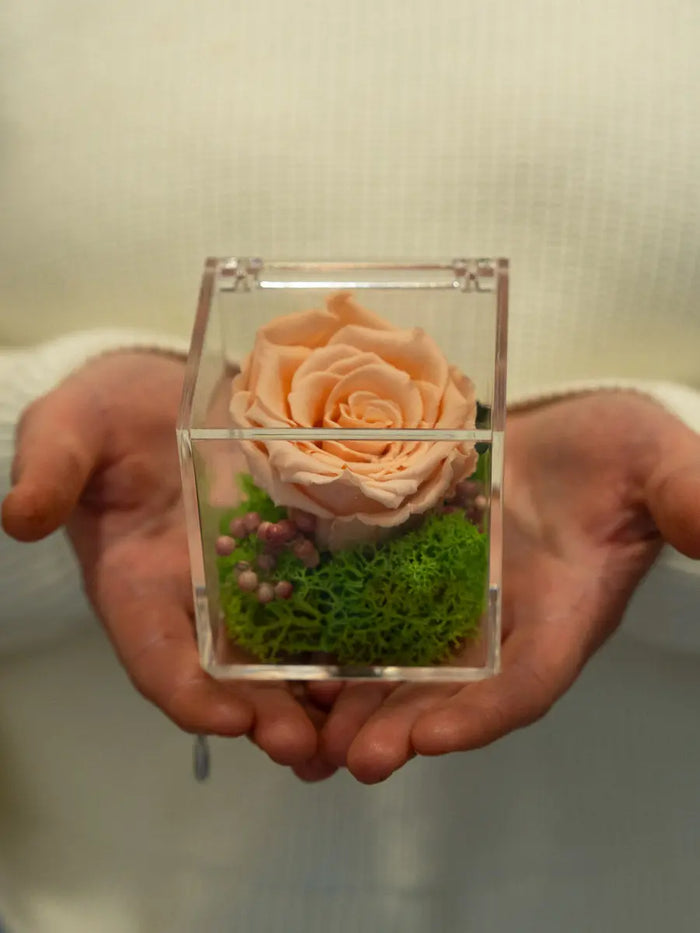 Rosa Stabilizzata Pesca Multicolore in Box | Regalo Elegante Emozioni