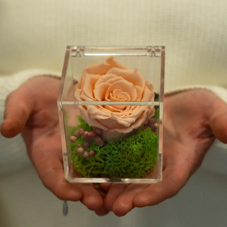 Rosa Stabilizzata Pesca Multicolore in Box | Regalo Elegante Emozioni