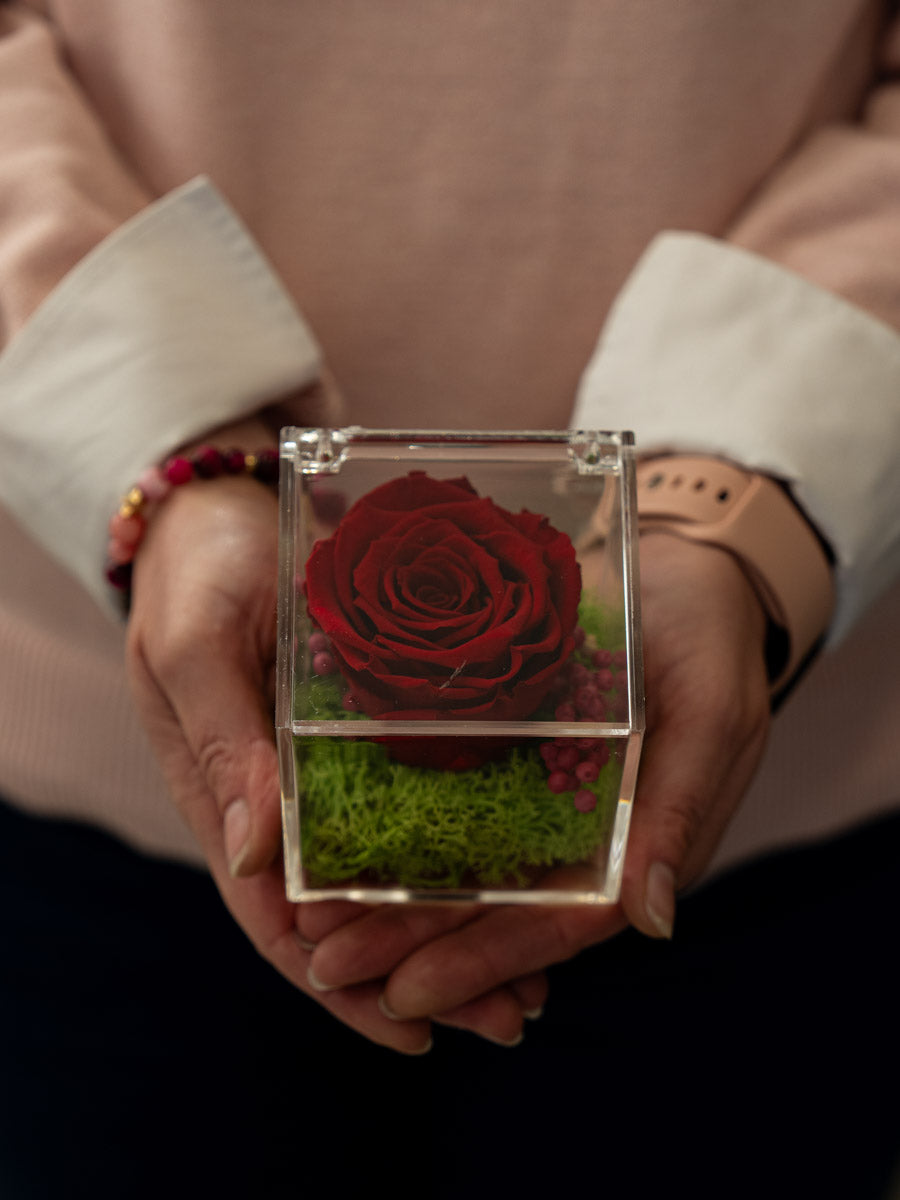 Rosa Stabilizzata Rossa in Scrigno