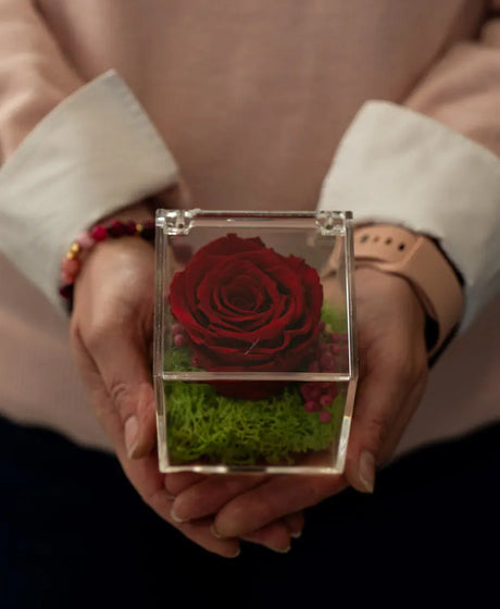 Rosa Stabilizzata Rossa in Scrigno Emozioni