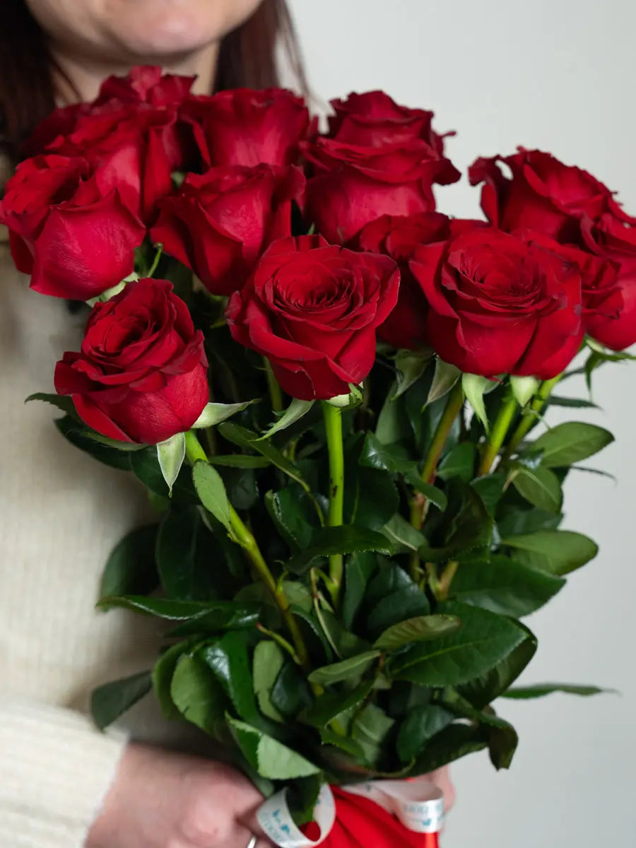 Bouquet Rose Rosse a Gambo Lungo | Consegna a Torino Emozioni