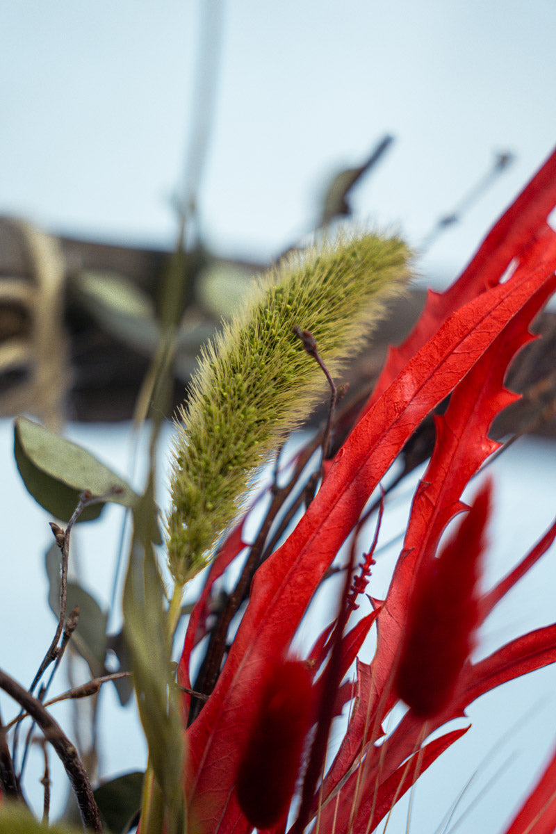 Cuore di Fiori Secchi Rossi | Elegante Decorazione Artigianale