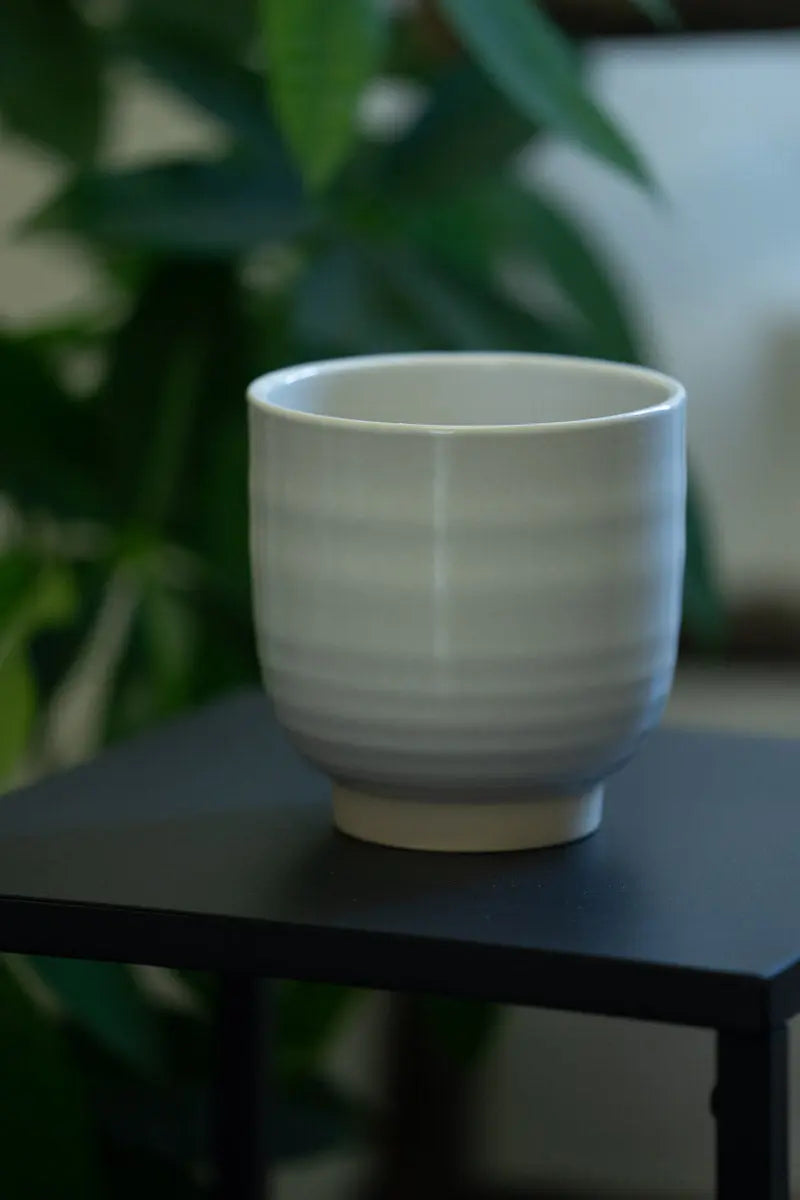 Vaso Bianco Ceramica a Righe Opache Emozioni