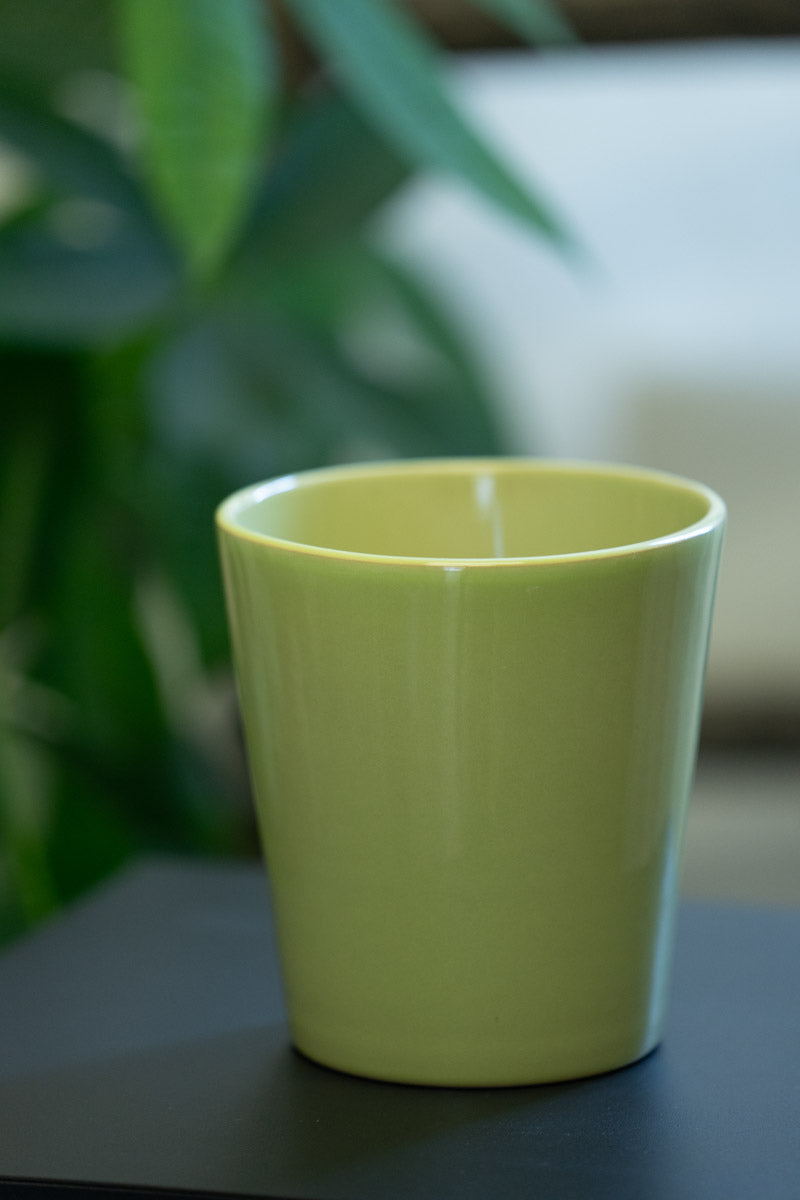 Vaso Verde Pastello in Ceramica